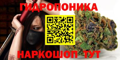 прущие крисы Будённовск