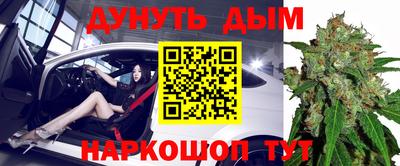 прущие крисы Будённовск