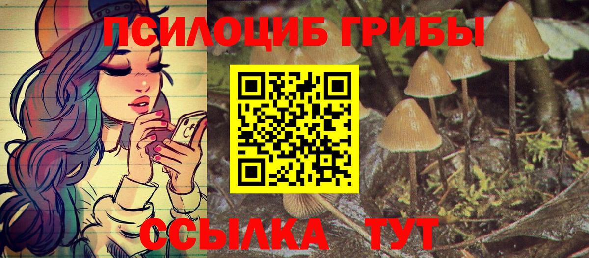 Псилоцибиновые грибы Magic Shrooms Балашов