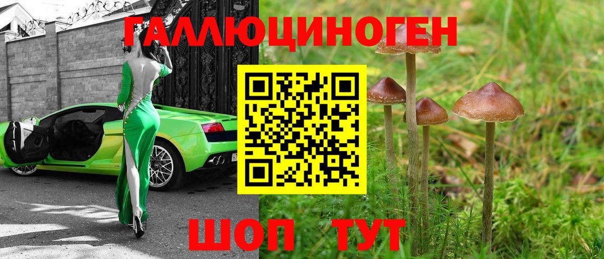 Балашов  Псилоцибиновые грибы Cubensis  Вход с VPN  Галлюциногенные грибы прущие грибы 